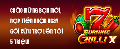 Hoàn Trả Mỗi Ngày 1.5% promotion
